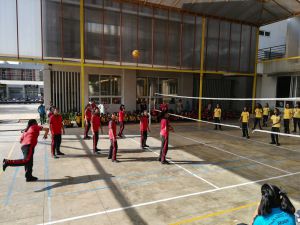 Throwball